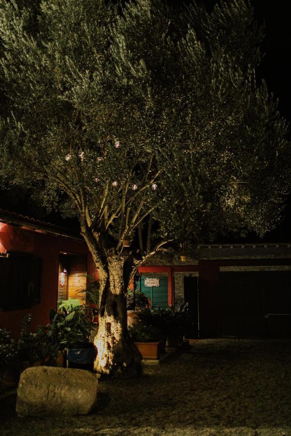 הוילה Castejon de Monegros El Jardin De Gala מראה חיצוני תמונה